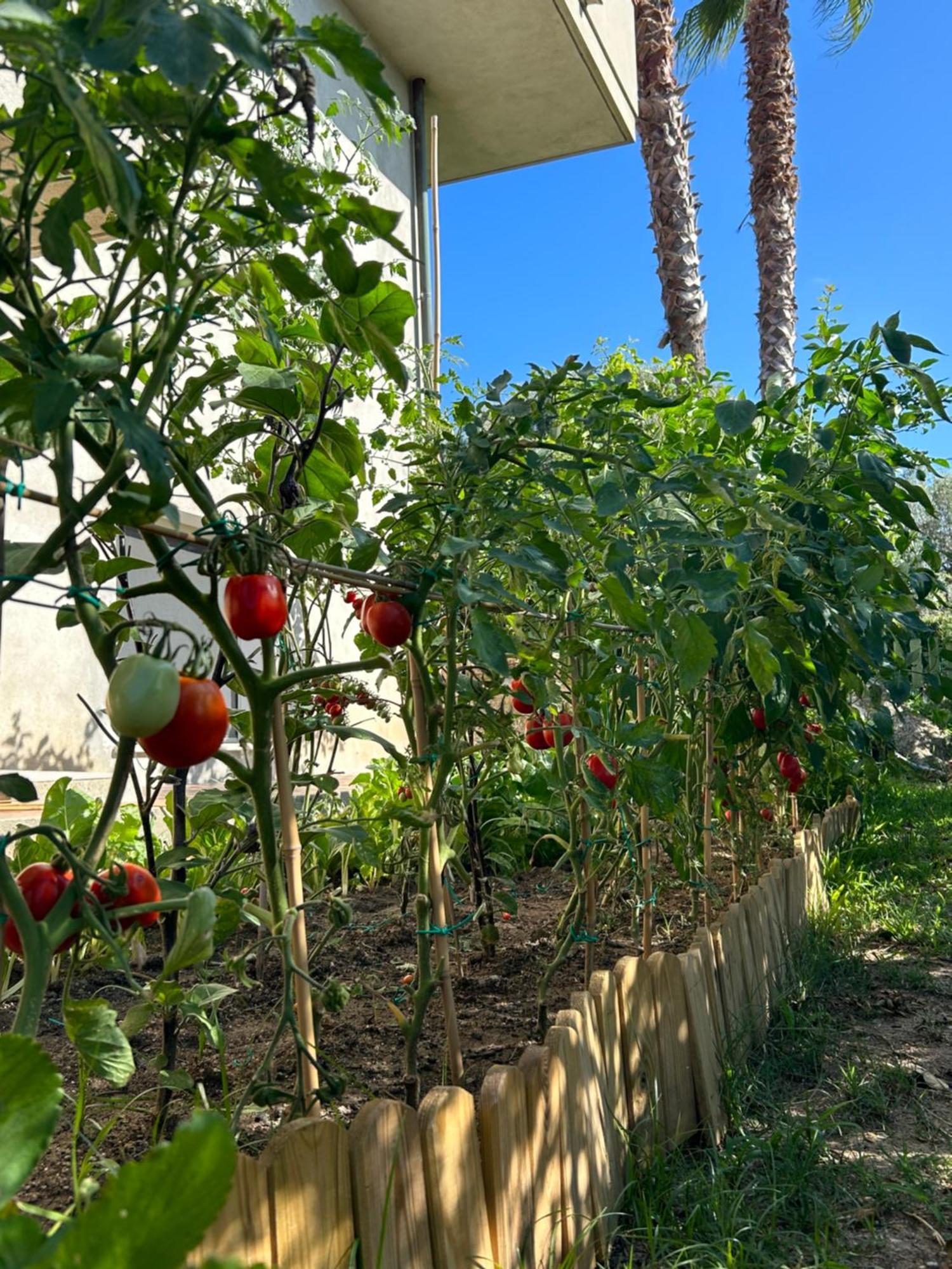 Apartmán Alto Giardino Zambrone Exteriér fotografie