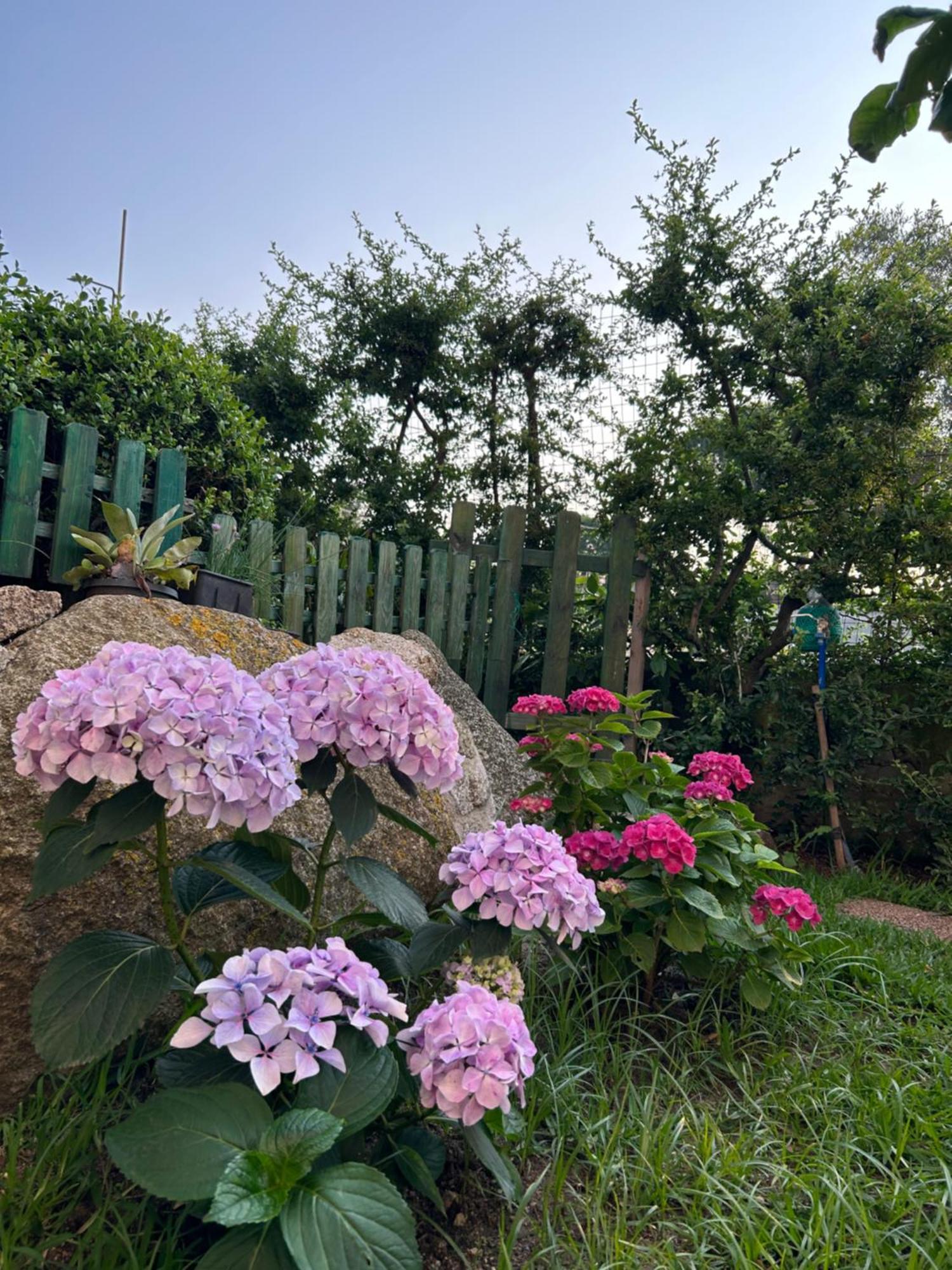 Apartmán Alto Giardino Zambrone Exteriér fotografie