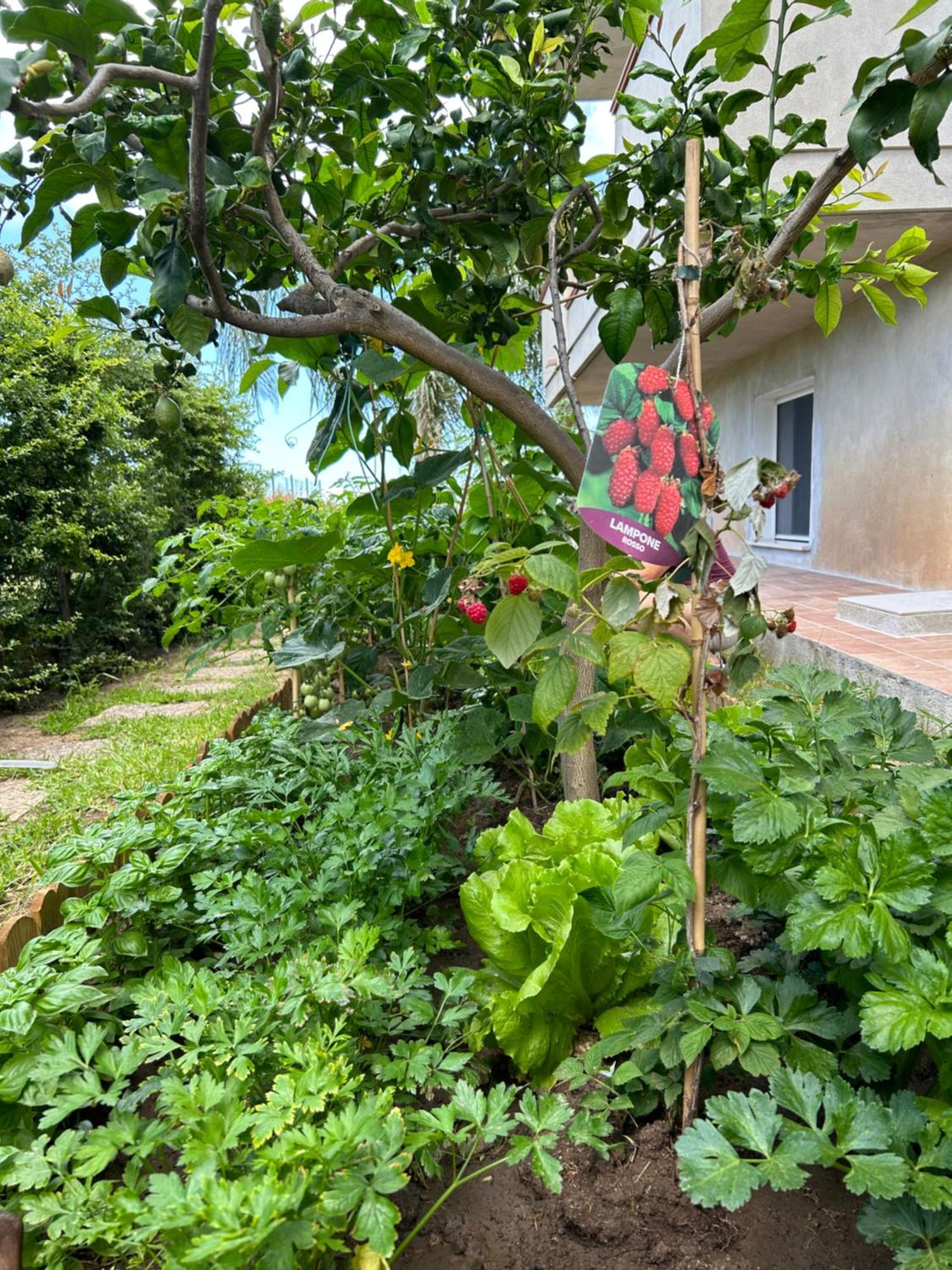 Apartmán Alto Giardino Zambrone Exteriér fotografie