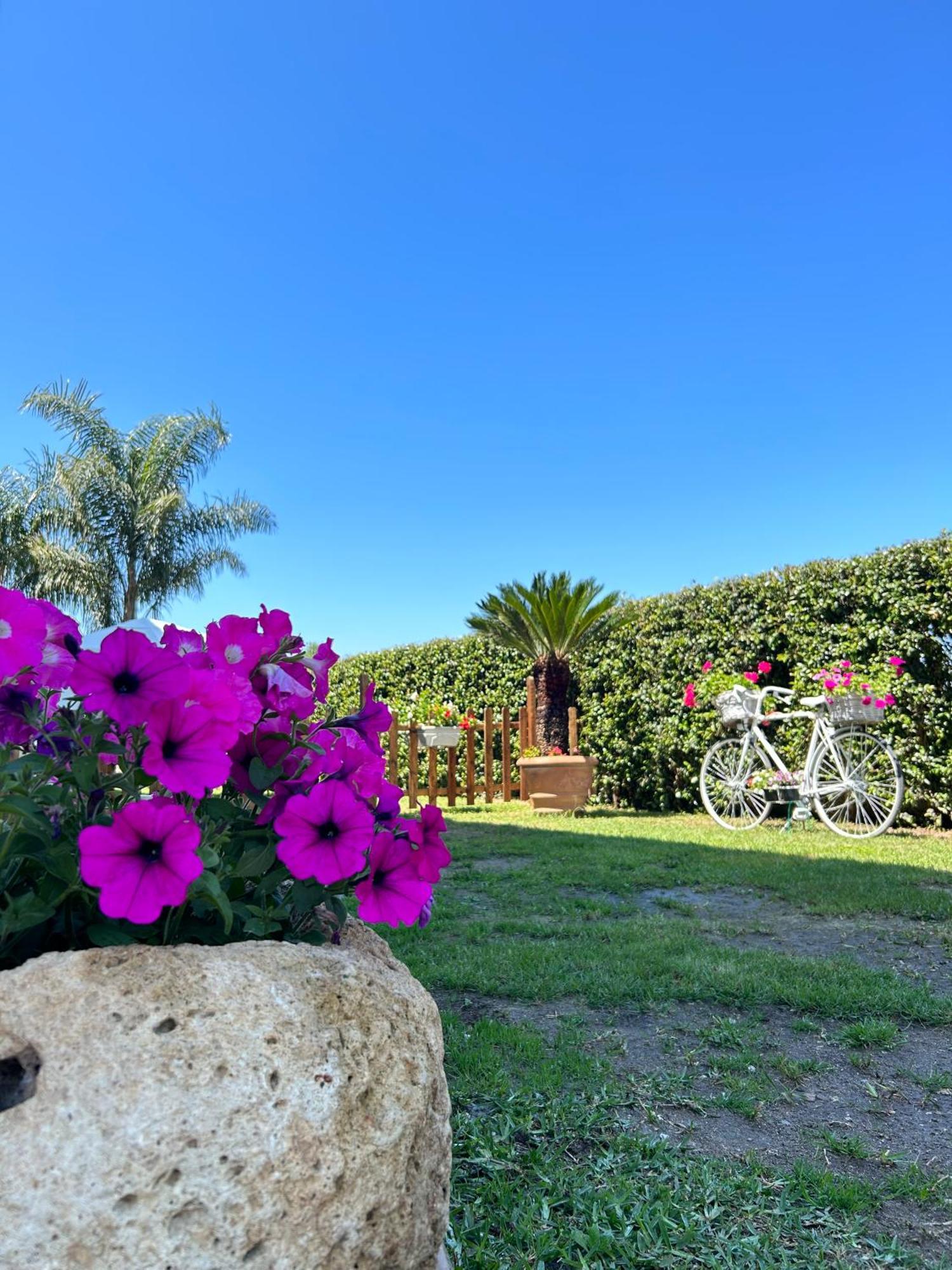 Apartmán Alto Giardino Zambrone Exteriér fotografie