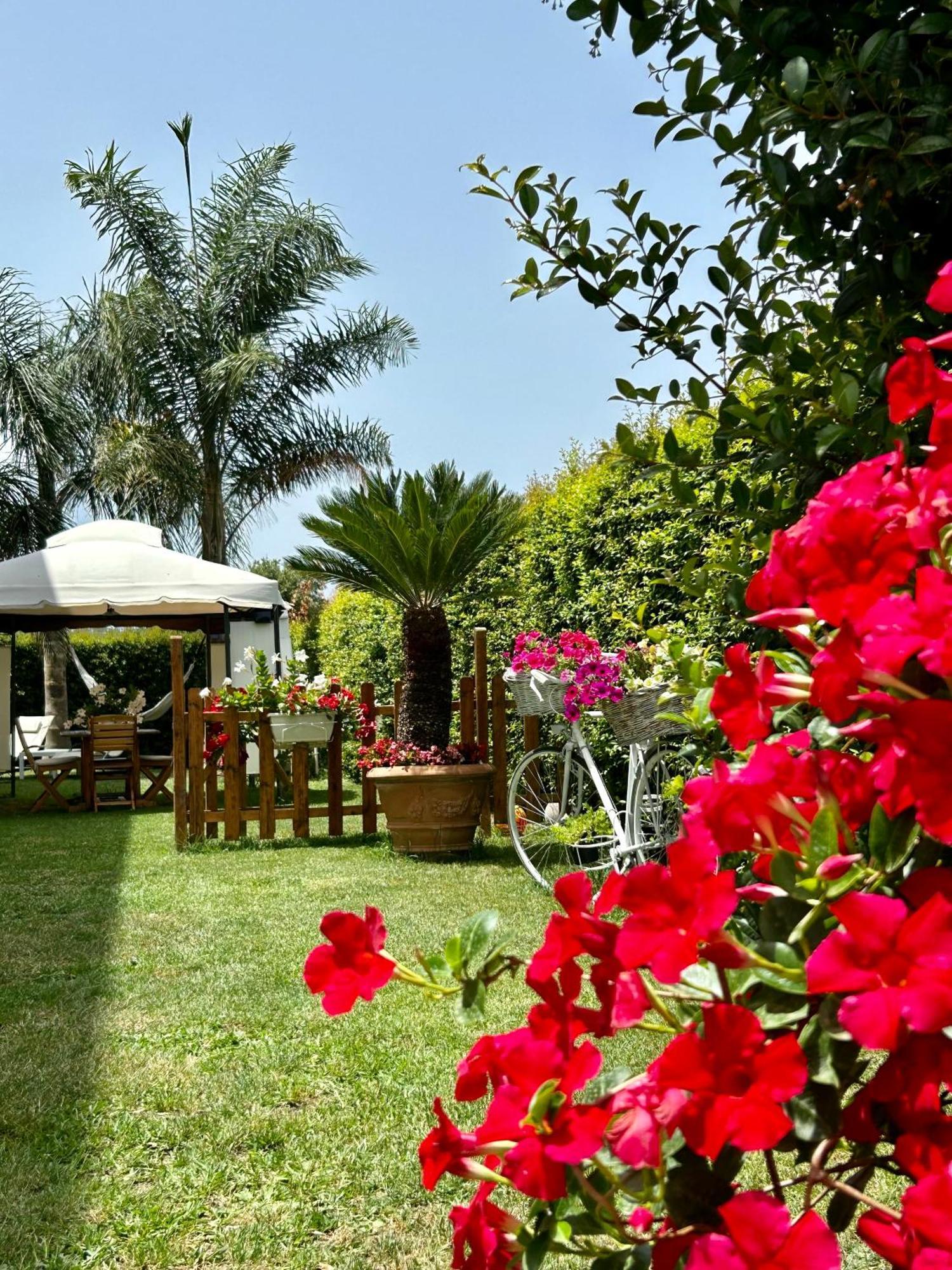 Apartmán Alto Giardino Zambrone Exteriér fotografie