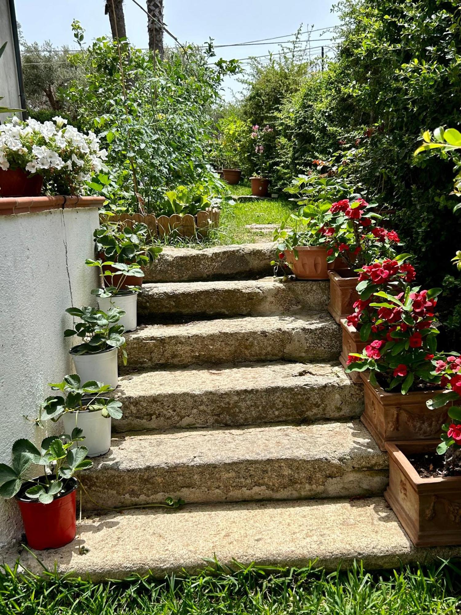 Apartmán Alto Giardino Zambrone Exteriér fotografie